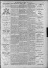 Hinckley Free Press Friday 03 February 1899 Page 3