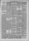Hinckley Free Press Friday 19 January 1900 Page 5