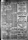 Hinckley Guardian and South Leicestershire Advertiser Friday 13 March 1925 Page 15