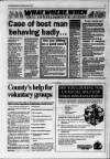 Luton on Sunday Sunday 17 July 1994 Page 17