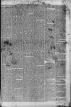 Macclesfield Chronicle and Cheshire County News Friday 09 November 1877 Page 7