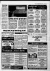 New Observer (Bristol) Friday 17 April 1987 Page 27