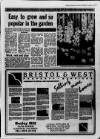 New Observer (Bristol) Thursday 01 September 1988 Page 19