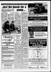 New Observer (Bristol) Friday 03 March 1989 Page 41