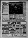 New Observer (Bristol) Friday 19 January 1990 Page 33