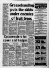 New Observer (Bristol) Friday 19 October 1990 Page 25