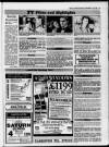 New Observer (Bristol) Friday 06 September 1991 Page 39