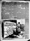 Merioneth News and Herald and Barmouth Record Thursday 11 April 1889 Page 3