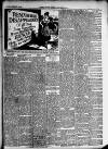 Merioneth News and Herald and Barmouth Record Thursday 19 September 1889 Page 3