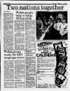 Liverpool Daily Post (Welsh Edition) Friday 02 January 1987 Page 13