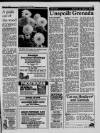 Liverpool Daily Post (Welsh Edition) Saturday 19 March 1988 Page 21