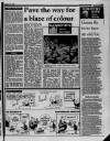 Liverpool Daily Post (Welsh Edition) Saturday 14 January 1989 Page 21