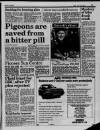 Liverpool Daily Post (Welsh Edition) Thursday 19 January 1989 Page 15