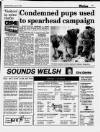 Liverpool Daily Post (Welsh Edition) Monday 02 August 1993 Page 11