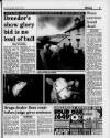 Liverpool Daily Post (Welsh Edition) Saturday 04 February 1995 Page 3