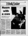 Liverpool Daily Post (Welsh Edition) Saturday 04 February 1995 Page 17