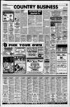 Flint & Holywell Chronicle Friday 12 July 1996 Page 41