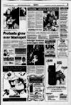 Flint & Holywell Chronicle Friday 29 November 1996 Page 5