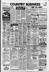 Flint & Holywell Chronicle Friday 29 November 1996 Page 45