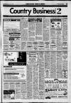 Flint & Holywell Chronicle Friday 17 January 1997 Page 37