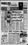 Wales on Sunday Sunday 30 July 1989 Page 1