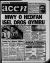 Wales on Sunday Sunday 24 September 1989 Page 43