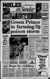 Wales on Sunday Sunday 31 December 1989 Page 1