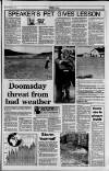 Wales on Sunday Sunday 28 January 1990 Page 11