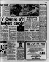 Wales on Sunday Sunday 01 April 1990 Page 37