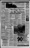 Wales on Sunday Sunday 29 April 1990 Page 21