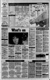 Wales on Sunday Sunday 06 May 1990 Page 35