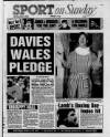 Wales on Sunday Sunday 23 December 1990 Page 29