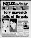 Wales on Sunday Sunday 25 July 1993 Page 1