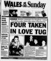 Wales on Sunday Sunday 29 January 1995 Page 1