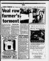 Wales on Sunday Sunday 29 January 1995 Page 9