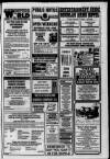 Airdrie & Coatbridge World Friday 25 June 1993 Page 21