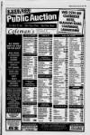 Airdrie & Coatbridge World Friday 20 January 1995 Page 19