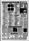 Ayrshire World Friday 03 September 1993 Page 17