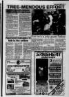 Hamilton World Friday 18 June 1993 Page 13