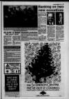 Lanark & Carluke Advertiser Friday 27 November 1992 Page 19