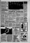 Lanark & Carluke Advertiser Friday 18 December 1992 Page 25