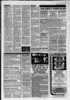 Lanark & Carluke Advertiser Friday 08 January 1993 Page 17