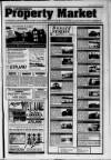 Lanark & Carluke Advertiser Friday 08 January 1993 Page 45