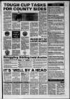 Lanark & Carluke Advertiser Friday 08 January 1993 Page 55