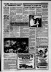 Lanark & Carluke Advertiser Friday 15 January 1993 Page 21