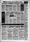 Lanark & Carluke Advertiser Friday 05 February 1993 Page 33