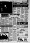 Lanark & Carluke Advertiser Friday 05 February 1993 Page 37