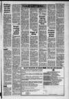 Lanark & Carluke Advertiser Friday 19 March 1993 Page 35