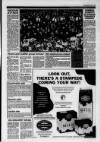 Lanark & Carluke Advertiser Friday 02 April 1993 Page 25