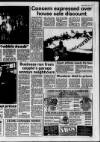 Lanark & Carluke Advertiser Friday 02 April 1993 Page 33